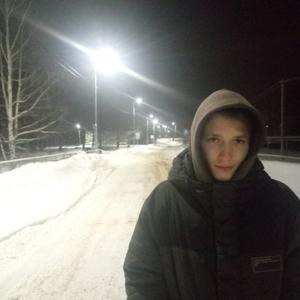 Дима, 18 лет, Шеметово