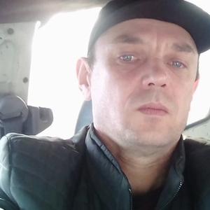 Эдик Мызников, 49 лет, Новокузнецк
