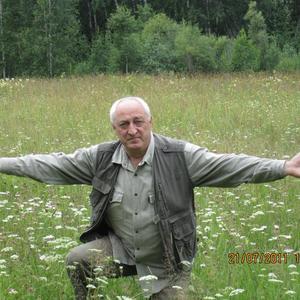 Роман Джигирис, 65 лет, Новосибирск
