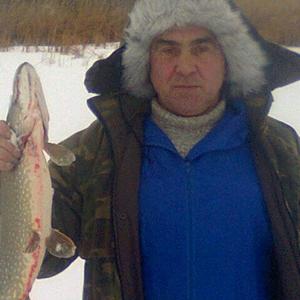 Viktor, 64 года, Краснодар