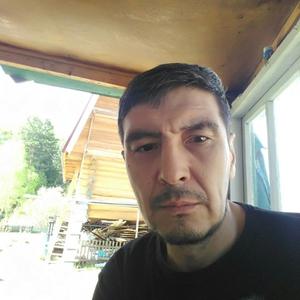 Ильгис, 49 лет, Томск