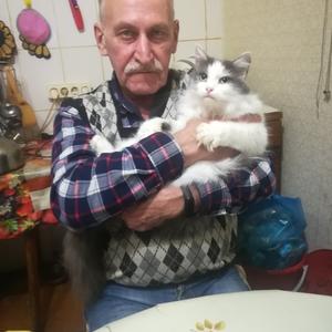 Парни в Липецке: Станислав, 68 - ищет девушку из Липецка