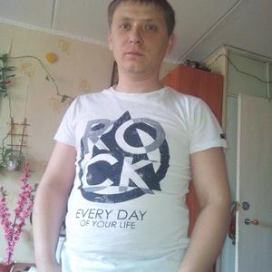 Николай, 37 лет, Тюмень