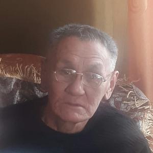 Владимир, 66 лет, Улан-Удэ
