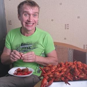 Алексей, 43 года, Невель