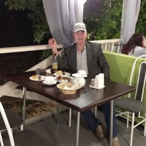 Парни в Пошехонье: Николай Виноградов, 73 - ищет девушку из Пошехонья