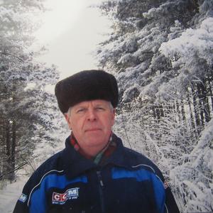 Сергей Елизарьев, 69 лет, Новосибирск