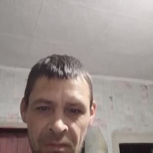 Сергей, 44 года, Усть-Каменогорск