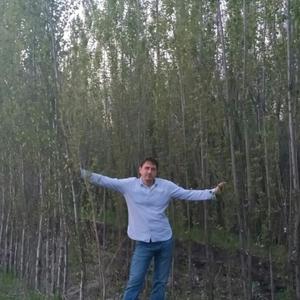 Владимир, 47 лет, Таганрог