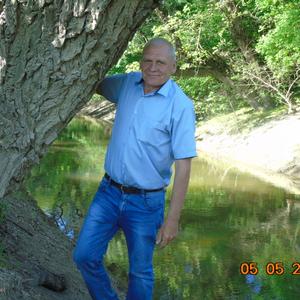 Парни в Гулькевичах: Александр, 64 - ищет девушку из Гулькевич