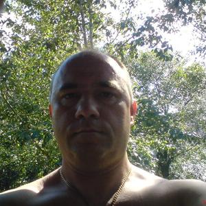 Александр Казадаев, 56 лет, Тамбов