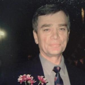 Михаил, 68 лет, Димитровград