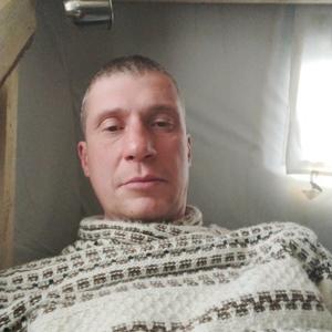Парни в Новополоцке: Петр, 39 - ищет девушку из Новополоцка