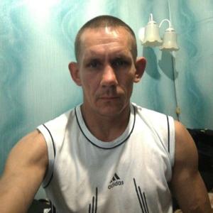 Миша, 41 год, Архангельск