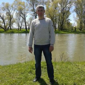Евгений, 41 год, Александровская Горка