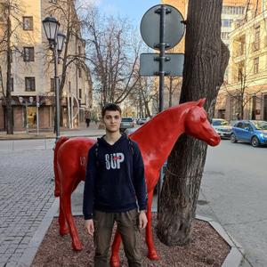 Павел, 20 лет, Казань