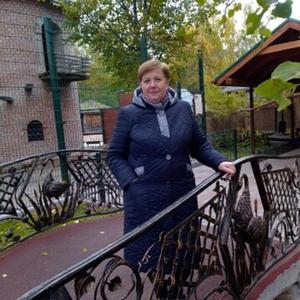Елена, 64 года, Нижний Новгород