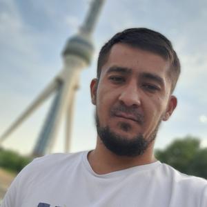 Ibrohim, 33 года, Ташкент