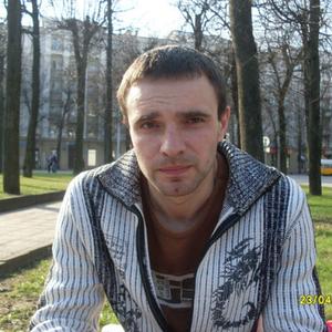Роман, 41 год, Могилев