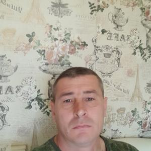 Виталий, 45 лет, Курск