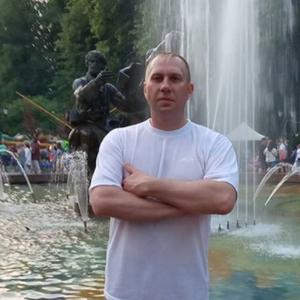 Александр, 43 года, Великий Новгород