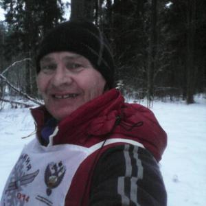 Виктор Жеребцов, 64 года, Кострома