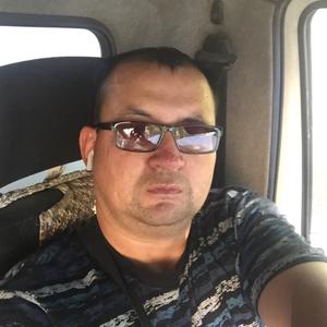 Анатолий, 42 года, Караганда