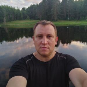 Владимир, 37 лет, Великий Новгород