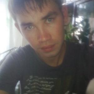 Дамир, 36 лет, Ташкент
