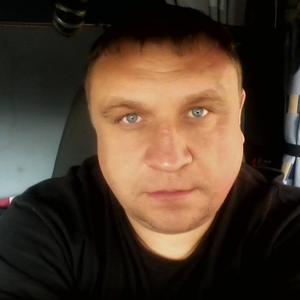 Андрей Лешко, 45 лет, Вилейка
