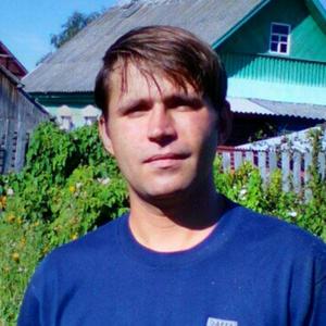 Дима, 39 лет, Нелидово