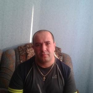 Анатолий, 42 года, Нижнекамск