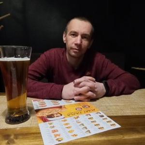 Владимир, 39 лет, Вельск
