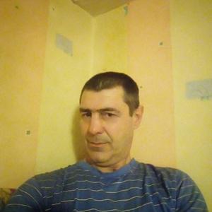 Sergei Fedorov, 53 года, Владимир