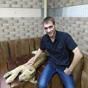 Олег, 36 лет, Ярославль