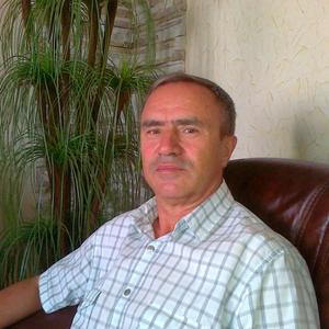 Никола, 67 лет, Нижнекамск