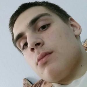 Николай, 22 года, Екатеринбург