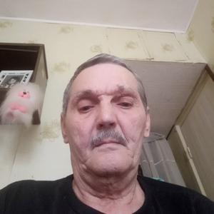 Саша, 68 лет, Михнево