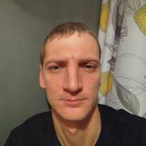 Алексей, 39 лет, Павловск