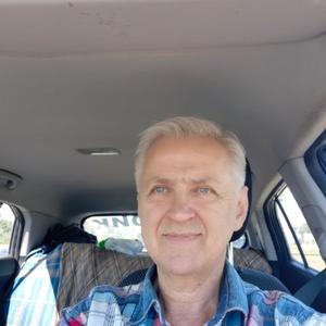 Анатолий, 61 год, Виллози