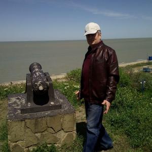 Андрей, 64 года, Ростов-на-Дону