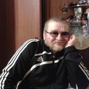 Андрей Низов, 68 лет, Санкт-Петербург
