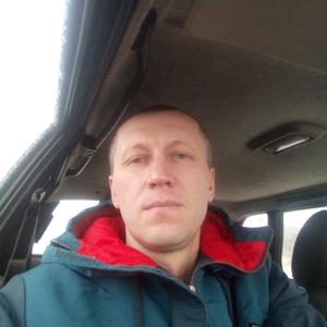 Сергей, 43 года, Губкин