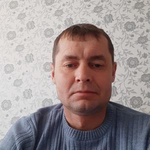 Вася, 44 года, Белгород