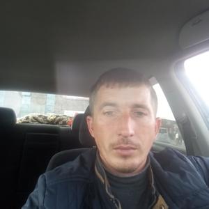 Виталий, 40 лет, Курск