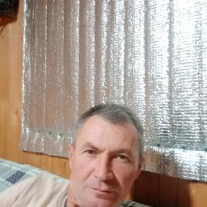 Владимир, 48 лет, Омск