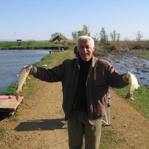 Евгений, 70 лет, Таганрог