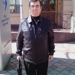 Владимир, 68 лет, Тамань