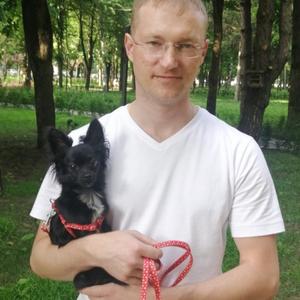 Николай, 37 лет, Краснодар