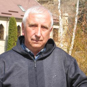Юрий, 65 лет, Владикавказ